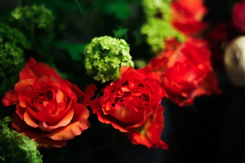 Stielvoll - rote Rosen