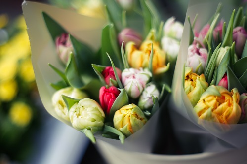 Stielvoll - Tulpen in vielen verschiedenen Farben